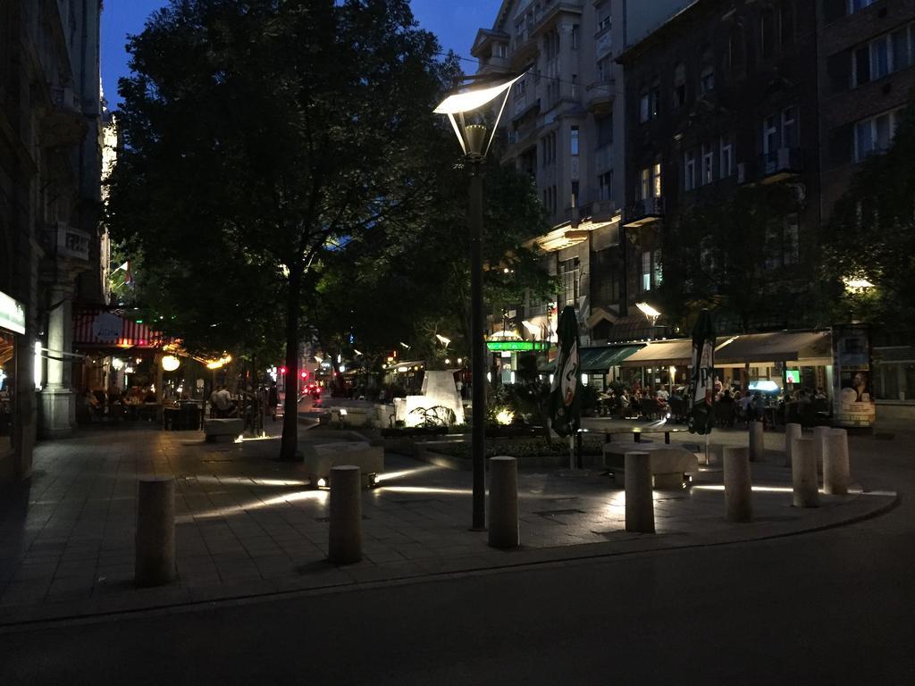 Apartment Near Opera In Downtown Budapest Kültér fotó
